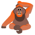 :orangutan: