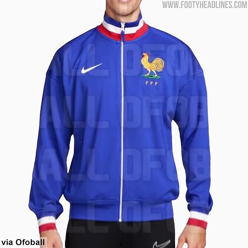 france jacket amazing (3)