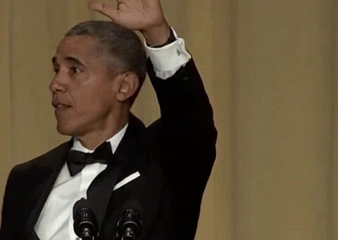 Barack Obama Reaction GIF